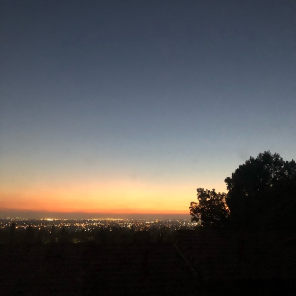 Meet your Posher, Hazel - Picture 1 of 1